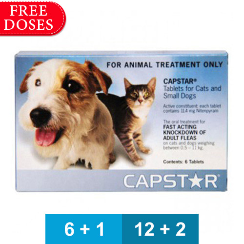 Capstar For Dogs Buy Capstar Flea Treatment For Dogs Online
