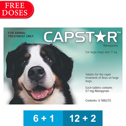 Capstar For Dogs Buy Capstar Flea Treatment For Dogs Online