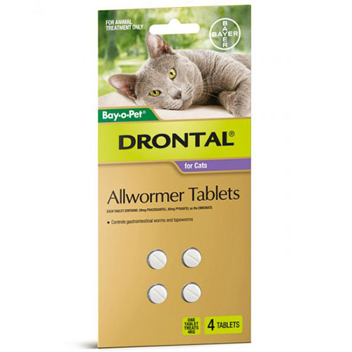Where To Buy Drontal For Cats toxoplasmosis