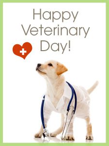 Celebrate World Veterinary Day With Veterinarians