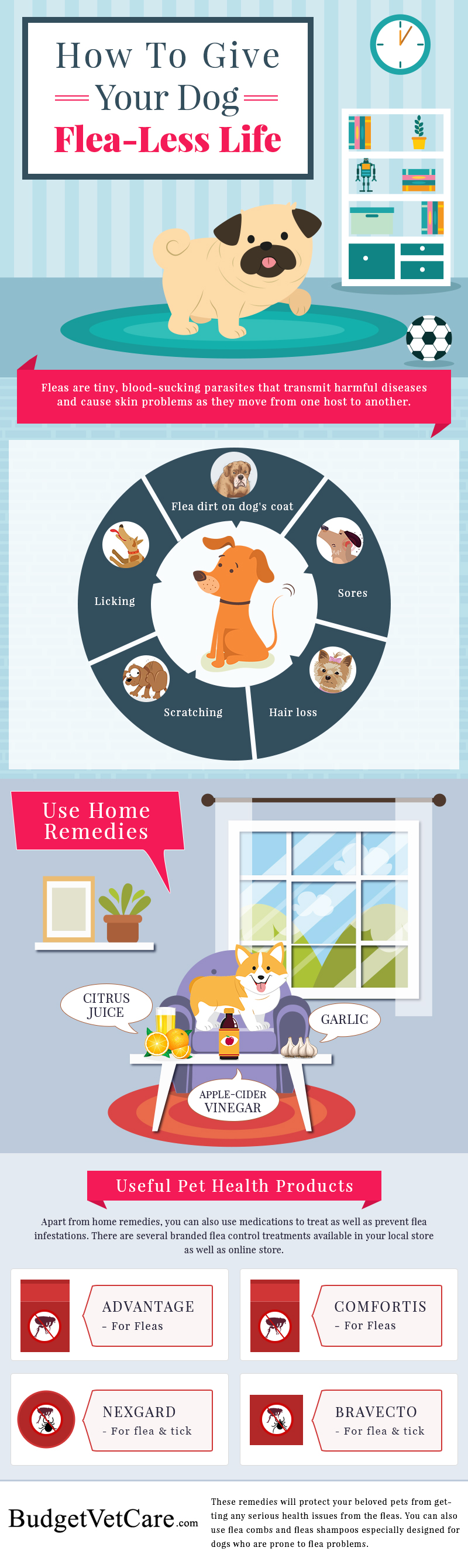Give Your Dog A Flea Less Life