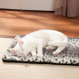 Bedding for senior cat