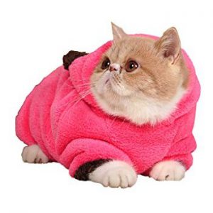 Winter Clothing for Senior Cat