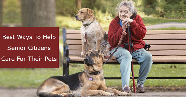 Senior Citizens Care For Their Pets