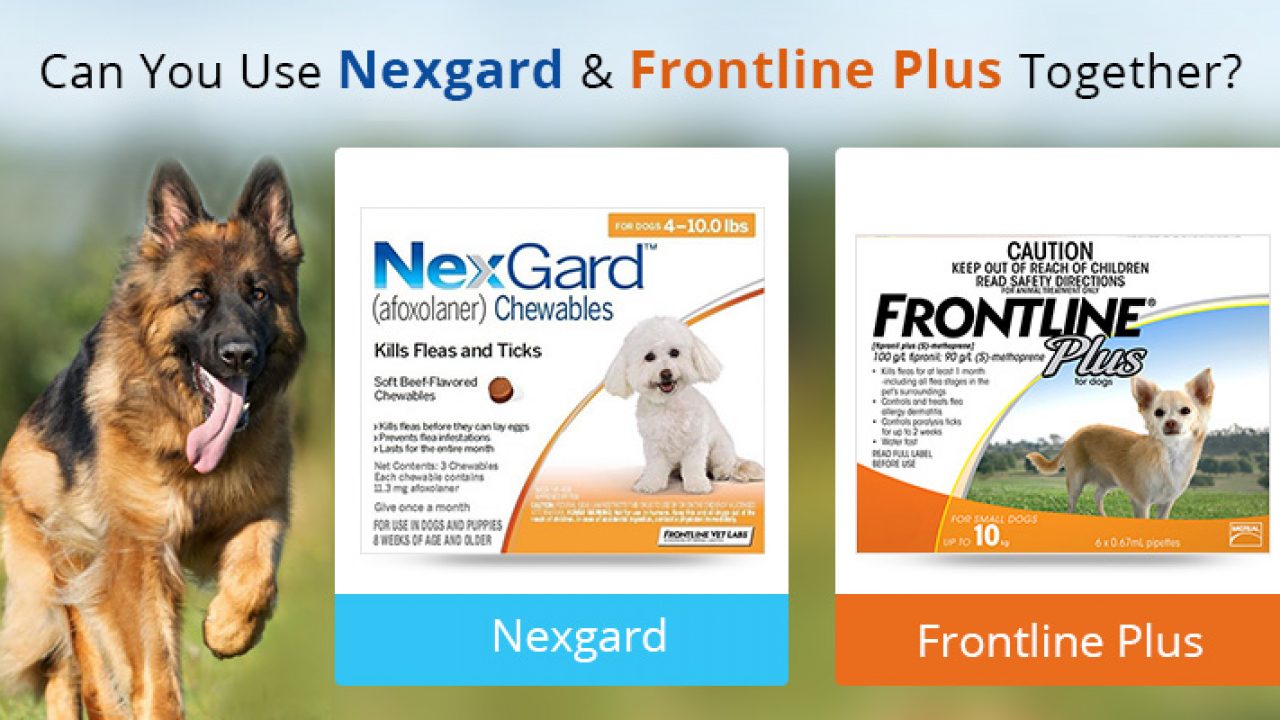 Can You Use Frontline And Nexgard Together