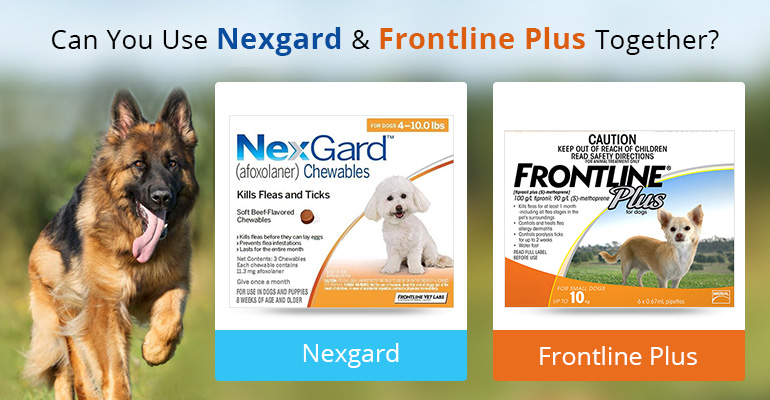 Can You Give Nexgard and Frontline Plus 