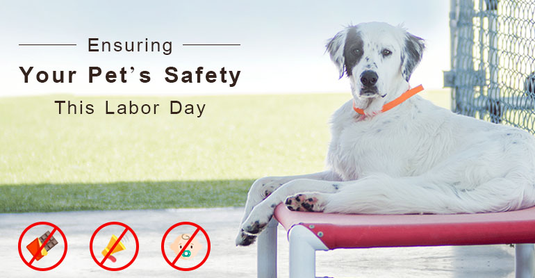 Pet’s safety this labor day