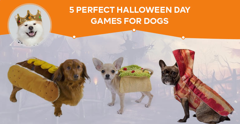 Perfect Halloween Day Games for Dogs