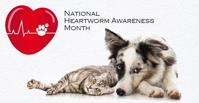 national heartworm awareness month