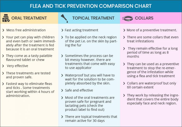 Best flea treatment for home Oral V/s Topical V/s Collar Budgetvetcare