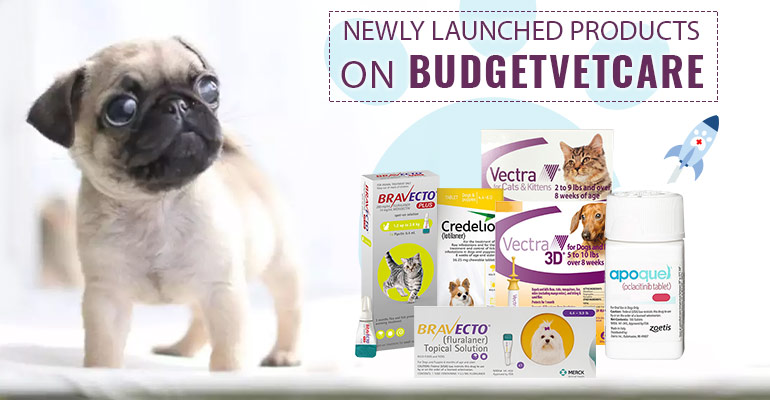 trending pet products | BudgetVetCare