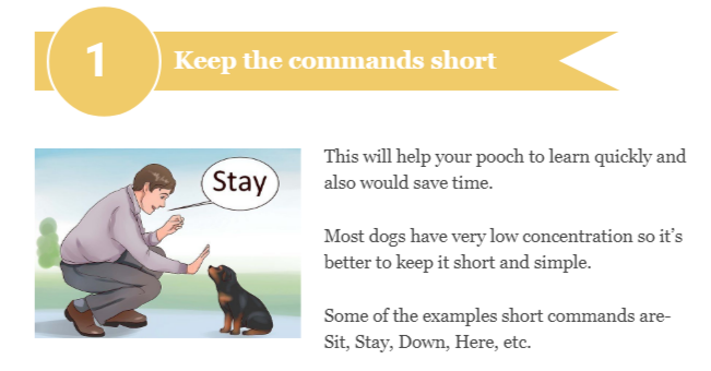 Commands for Dogs