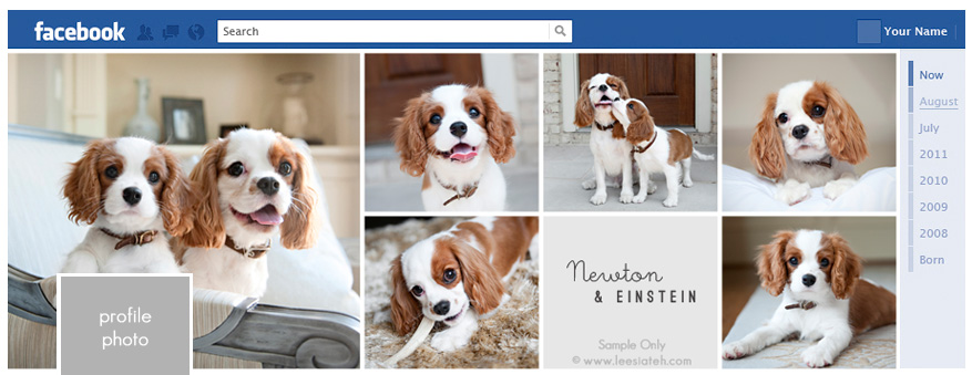 creating social media account of your pet