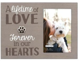 photo frame a picture of your pet