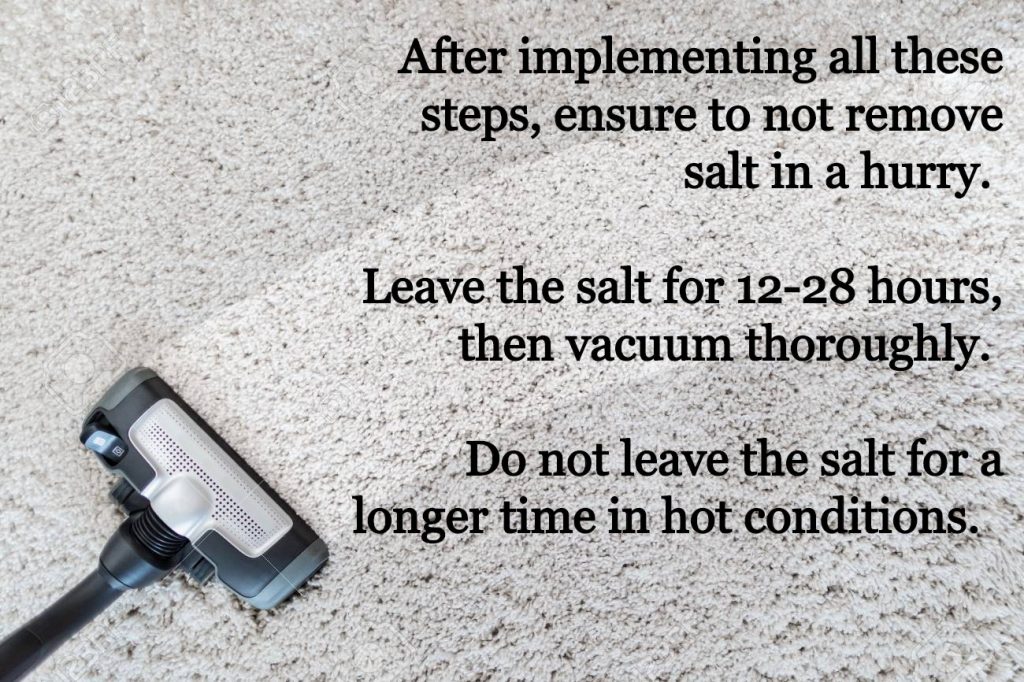 Do Fleas Hate Salt at Marian Franklin blog