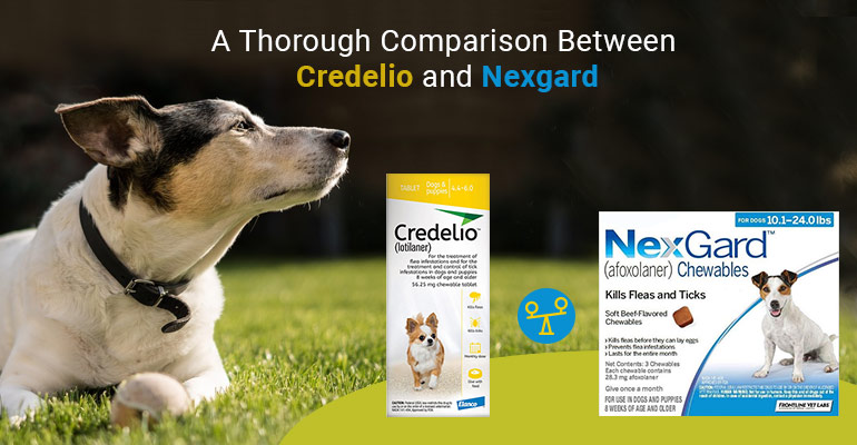 Credelio vs Nexgard