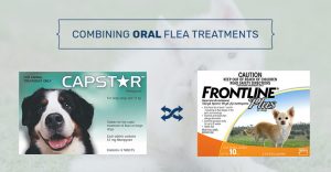 combine capstar with frontline plus