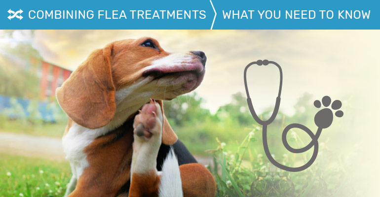 Combination Of Flea Treatments: What 
