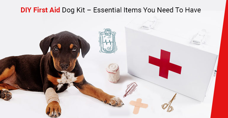 DIY-First Aid Dog Kit
