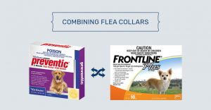 combine preventic collar with frontline plus