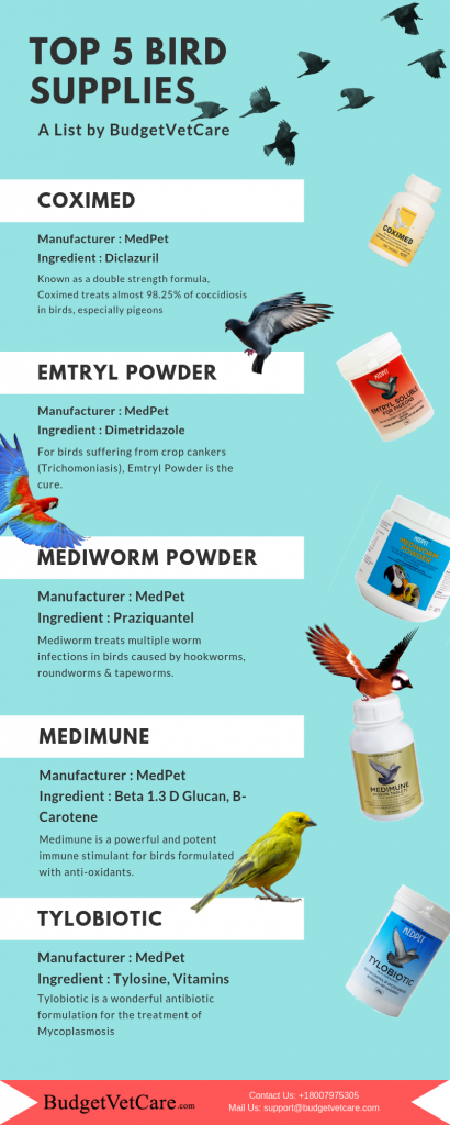 Image showcasing Best Bird Supplies For Your Pet Bird | BudgetVetCare