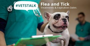 Flea and Tick Treatments and Expiration Dates -VetsTalk | BudgetVetCare