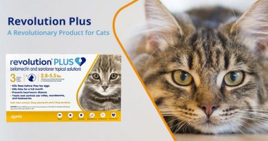 Revolution Plus: The Extra Plus to Revolution for cats