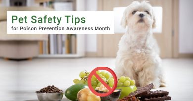 Poison Prevention Awareness Month