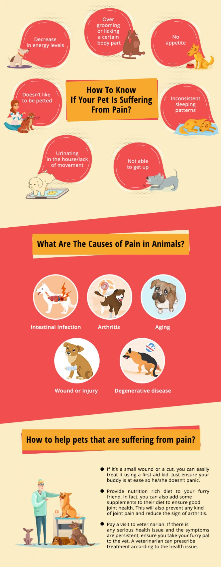 Animal Pain Awareness Month – How To Help Your Pet - BudgetVetCare Blog