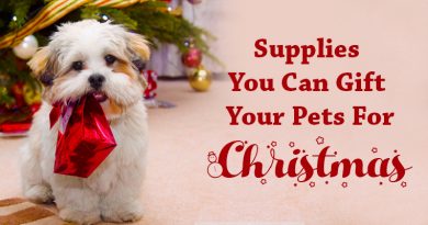 Gift Your Pets For Christmas
