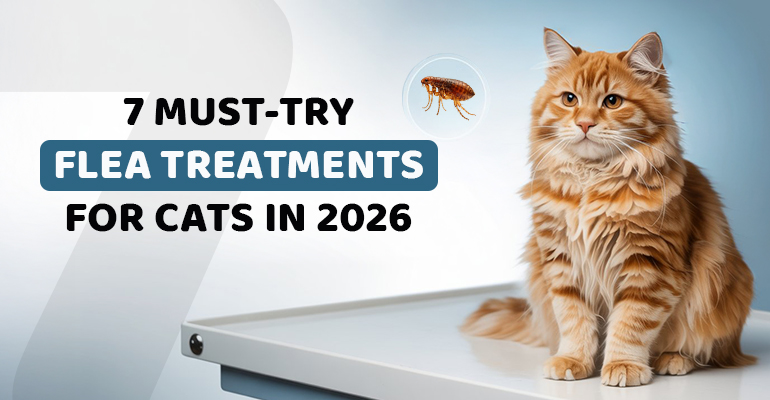 7 Must-Try Flea Treatments for Cats in 2026