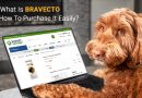 What Is Bravecto And How To Purchase It Easily?