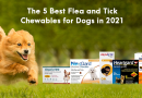The 5 Best Flea and Tick Chewables for Dogs in 2021