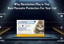 Why Revolution Plus Is The Best Parasite Protection For Your Cat