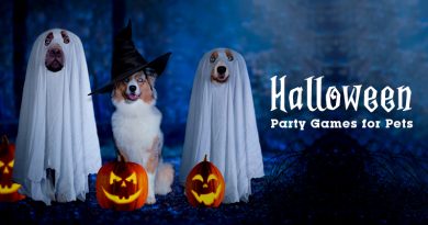 Halloween Party Games for Pets