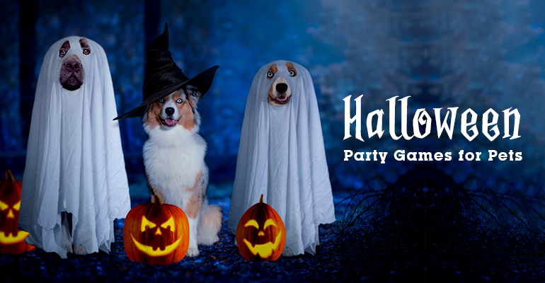 Halloween Party Games for Pets
