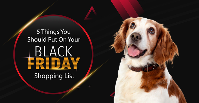 Top 5 Things You Should Put On Your Black Friday Shopping List