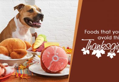 Foods That You Must Avoid This Thanksgiving