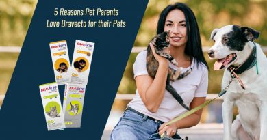 5 Reasons Pet Parents Love Bravecto for their Pets