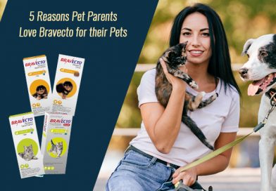 5 Reasons Pet Parents Love Bravecto for their Pets