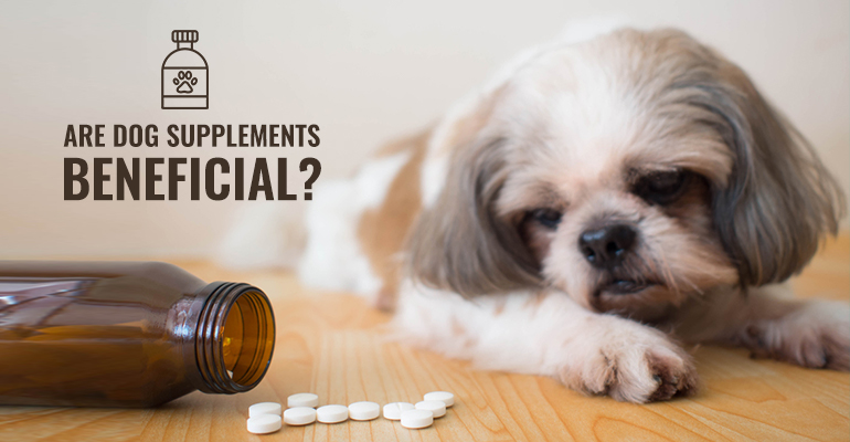 BVCAU-Dog-Suppliments