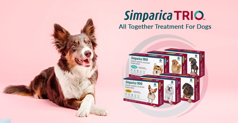 Simparica Trio - All Together Treatment For Dogs