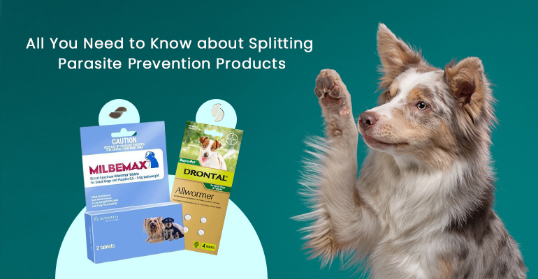 All You Need to Know about Splitting Parasite Prevention Products