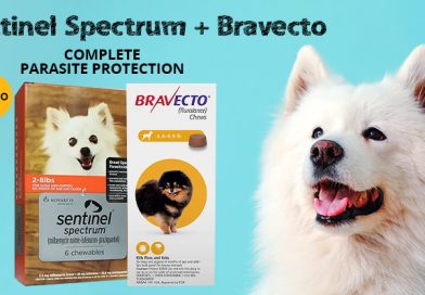 Bravecto and Sentinel Spectrum Combo for Dogs