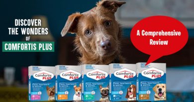 Discover the Wonders of Comfortis Plus: A Comprehensive Review