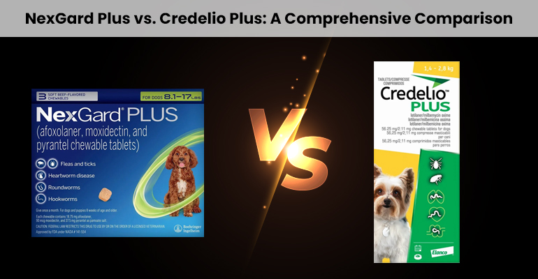 NexGard Plus vs. Credelio Plus: A Comprehensive Comparison