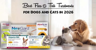 Best Flea & Tick Treatments for Dogs and Cats in 2026
