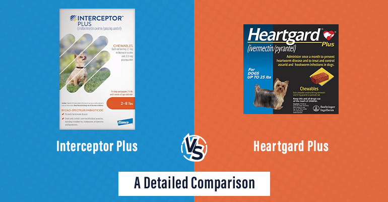 Interceptor Plus vs. Heartgard Plus: A Detailed Comparison