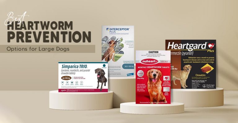 Amazing Cheap Dog Heartworm Prevention Background Art Amazing Cheap Dog Heartworm Prevention Background Art