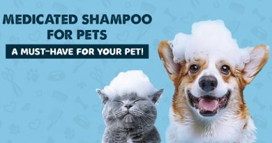 Medicated shampoos for Pets: A Must-Have for Your Pet!
